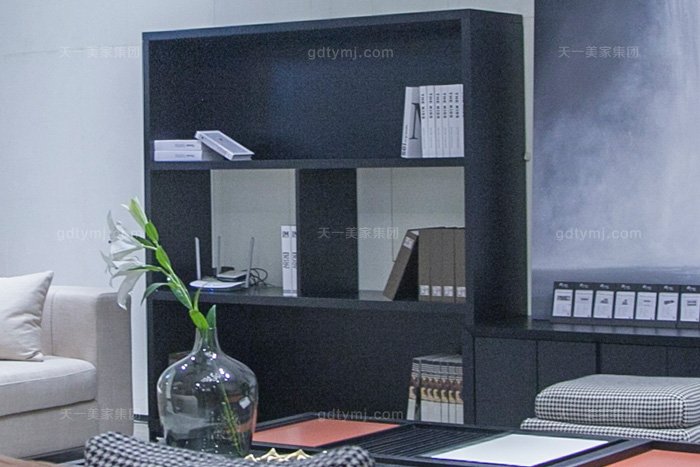 意大利極簡元素現代簡奢家具客廳高檔沙發組合書柜