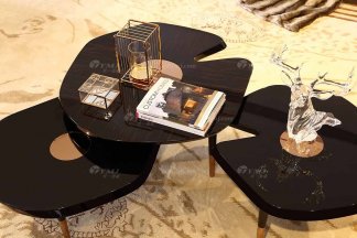 奢華別墅家具品牌高端樣板間家具輕奢后現代客廳金絲黑檀黑亮組合幾
