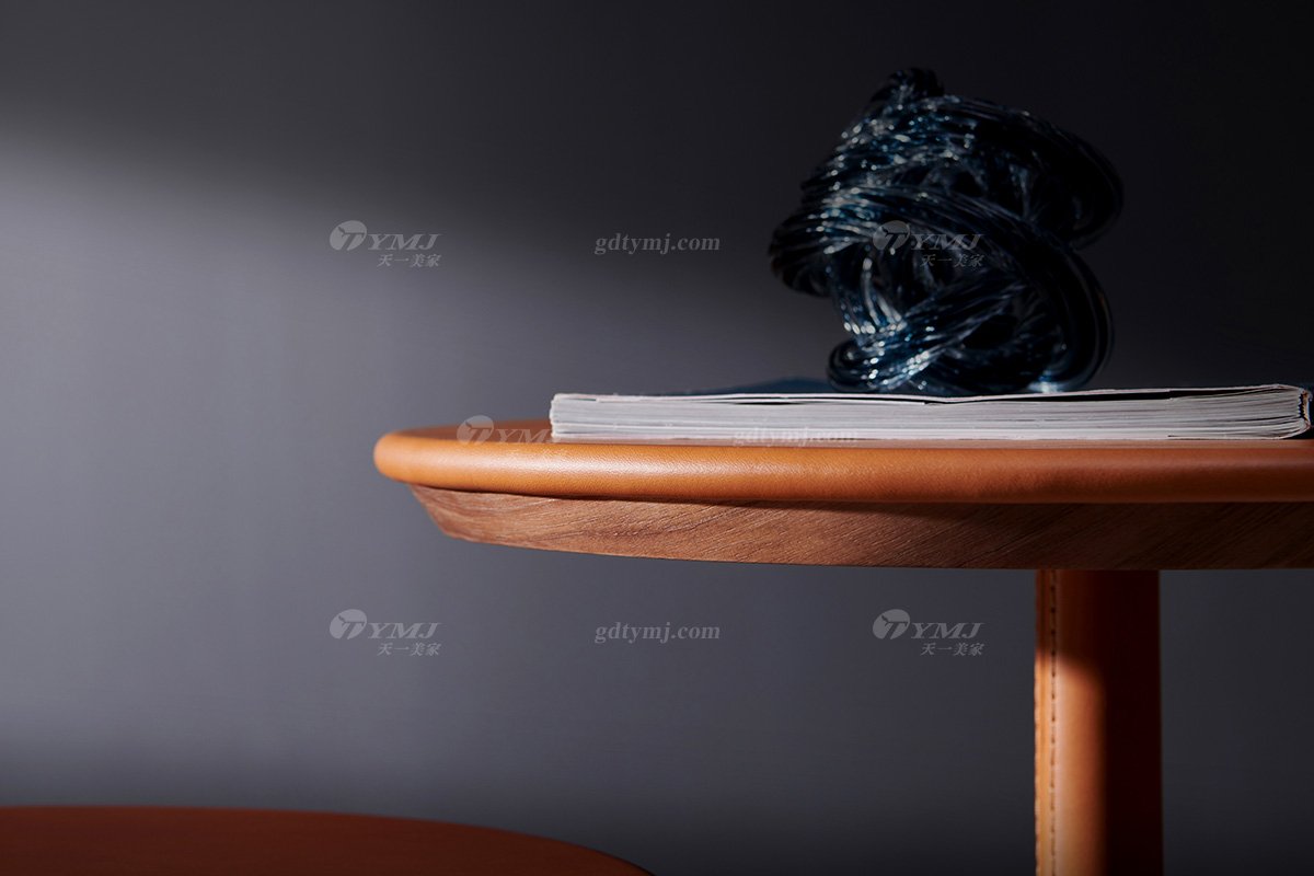現(xiàn)代時(shí)尚輕奢別墅品牌家具高檔客廳愛馬仕橙+不銹鋼拉絲槍黑色高矮床幾角幾CJ-1A高矮床幾場景1