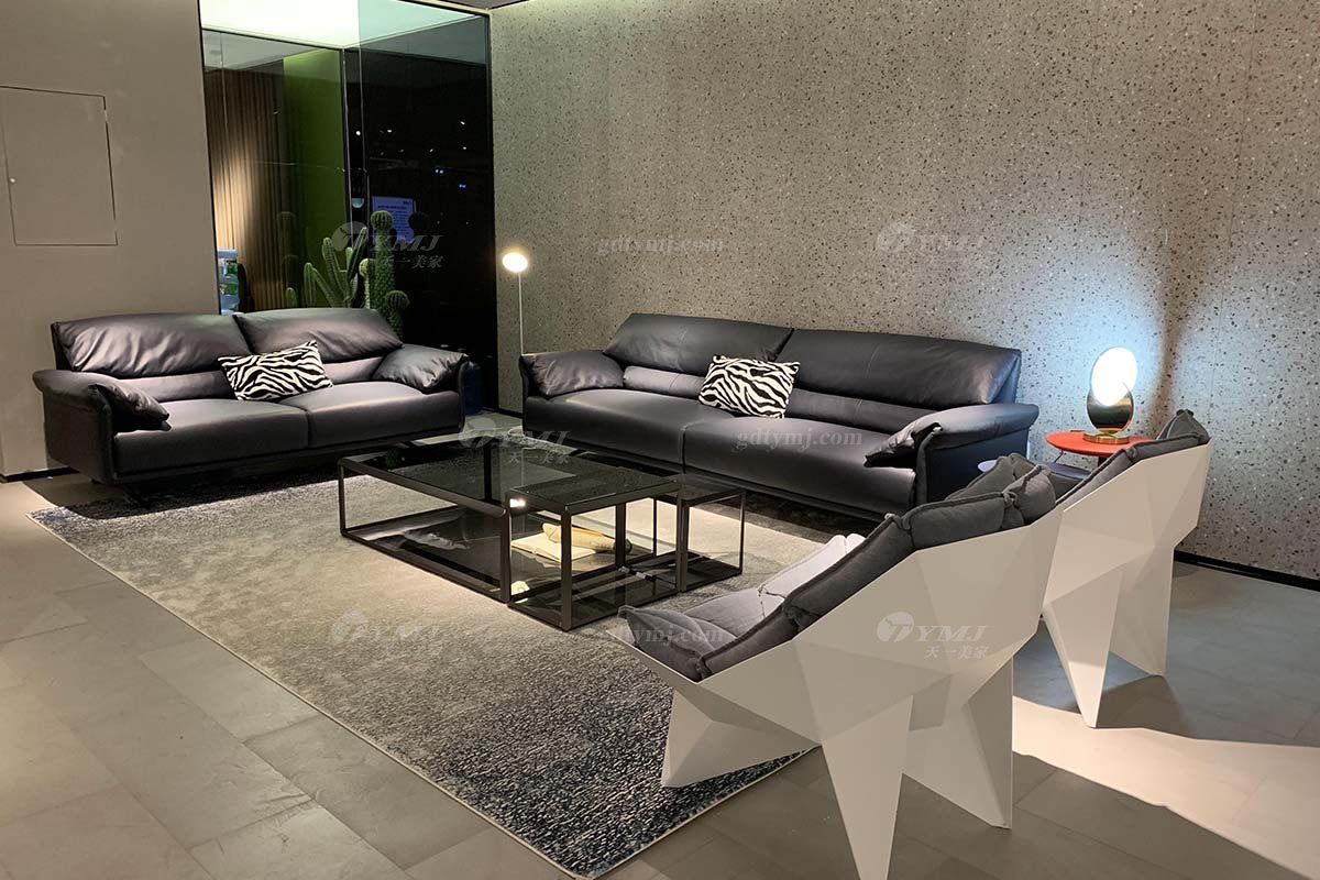 意式極簡風格家具高端別墅會所大宅時尚簡約實木真皮二位沙發F9585二位沙發