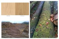 橡木、胡桃、白蠟?zāi)具€在傻傻分不清楚？手把手教你認識現(xiàn)代極簡家具的使用進